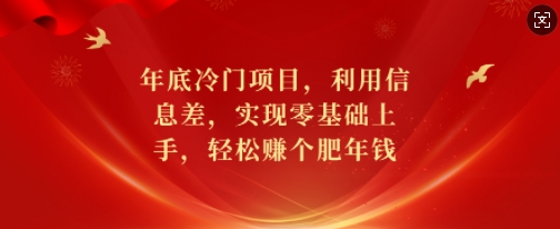年底冷门项目，利用信息差，实现零基础上手，轻松赚个肥年钱【揭秘】-小哈资源