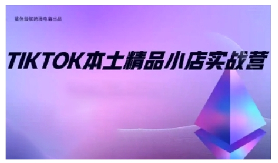 TikTok本土精品小店出海实战营，从入门到高阶，不止0-1!-小哈资源