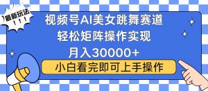 视频号蓝海赛道玩法，当天起号，拉爆流量收益，小白也能轻松月入30000+-小哈资源