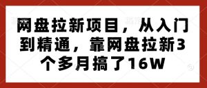 网盘拉新项目，从入门到精通，靠网盘拉新3个多月搞了16W-小哈资源