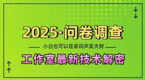 2025问卷调查最新工作室技术解密：一个人在家也可以闷声发大财，小白一天2张，可矩阵放大【揭秘】-小哈资源