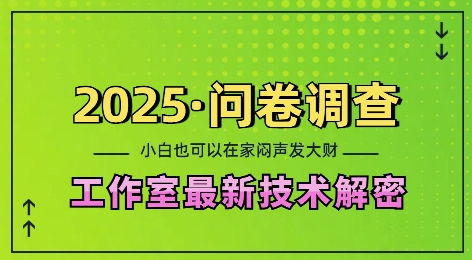 2025问卷调查最新工作室技术解密：一个人在家也可以闷声发大财，小白一天2张，可矩阵放大【揭秘】-小哈资源