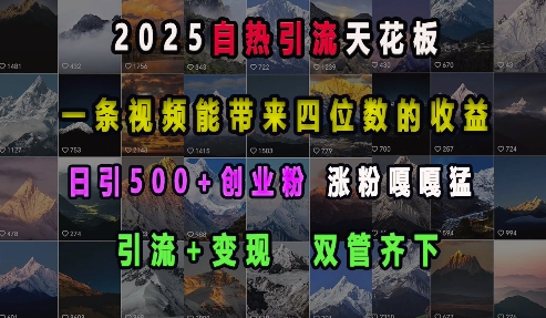 2025自热引流天花板，一条视频能带来四位数的收益，引流+变现双管齐下，日引500+创业粉，涨粉嘎嘎猛-小哈资源
