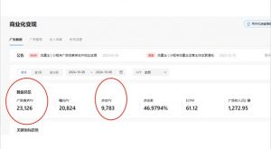 抖音雪花无人直播，一天躺赚3000+，0粉手机可搭建，不违规不限流，小白...-小哈资源