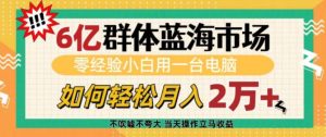 6亿群体蓝海市场，零经验小白用一台电脑，如何轻松月入过w【揭秘】-小哈资源