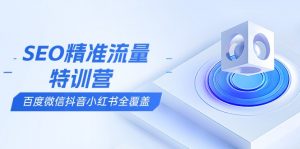 SEO精准流量特训营，百度微信抖音小红书全覆盖，带你搞懂搜索优化核心技巧-小哈资源