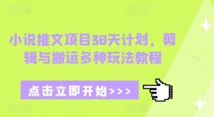 小说推文项目38天计划，剪辑与搬运多种玩法教程-小哈资源