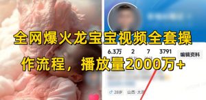 全网爆火龙宝宝视频全套操作流程，播放量2000万+-小哈资源