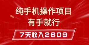 纯手机操作的小项目,有手就能做,7天收入2609+实操教程【揭秘】-小哈资源