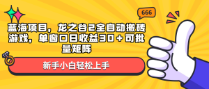 蓝海项目，龙之谷2全自动搬砖游戏，单窗口日收益30＋可批量矩阵-小哈资源