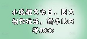 小说推文项目，图文创作玩法，新手10天挣3000-小哈资源