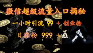 微信超级流量入口揭秘：一小时引流 99 + 创业粉，日涨粉 999 +-小哈资源
