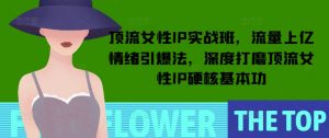 顶流女性IP实战班，流量上亿情绪引爆法，深度打磨顶流女性IP硬核基本功-小哈资源
