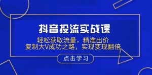抖音投流实战课，轻松获取流量，精准出价，复制大V成功之路，实现变现翻倍-小哈资源