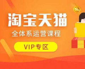 淘宝天猫全体系运营课程：店铺全系运营、动销玩法、付费推广、流量提升、擦边球玩法等等-小哈资源