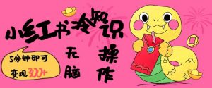 小红书冷知识账号，无脑复制粘贴，5分钟即可变现3张-小哈资源