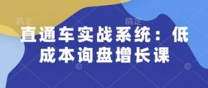 直通车实战系统：低成本询盘增长课，让个人通过技能实现升职加薪，让企业低成本获客，订单源源不断-小哈资源
