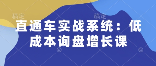 直通车实战系统：低成本询盘增长课，让个人通过技能实现升职加薪，让企业低成本获客，订单源源不断-小哈资源