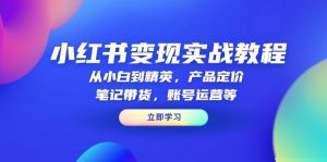 小红书变现实战教程：从小白到精英，产品定价，笔记带货，账号运营等-小哈资源