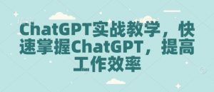 ChatGPT实战教学，快速掌握ChatGPT，提高工作效率-小哈资源