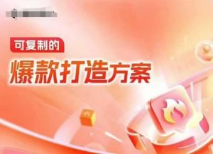 天猫电商爆款运营,可复制的爆款打造方案(线下内训课录音+字幕)-小哈资源