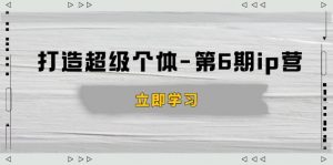 打造 超级个体-第6期ip营:商业认知,产品设计,成交演练,解决知识变现难题-小哈资源