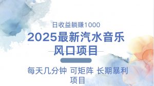 2025最新汽水音乐躺赚项目 每天几分钟 日入1000＋-小哈资源