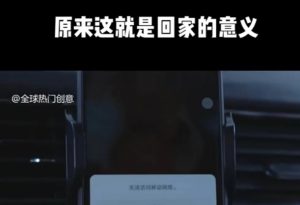 利用春节风口，制作热点视频，多种玩法类型，新手也能轻松变现！-小哈资源