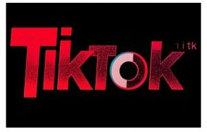 TikTok ads投流秘籍，涵盖tiktok整体投放思路，教你搭建测试计划-小哈资源