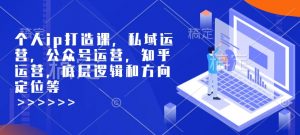 个人ip打造课，私域运营，公众号运营，知乎运营，底层逻辑和方向定位等-小哈资源