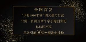 小红书神奇图片引流法，只需一张图，就能单条笔记凭借此方法，轻松引流 300 + 精准创业粉-小哈资源