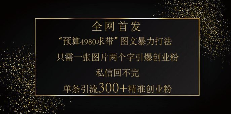 小红书神奇图片引流法,只需一张图,就能单条笔记凭借此方法,轻松引流 300 + 精准创业粉-小哈资源