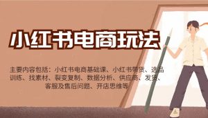 小红书电商玩法:带货/选品/找素材/裂变/数据分析/供应商/发货/售后/开店思维等-小哈资源