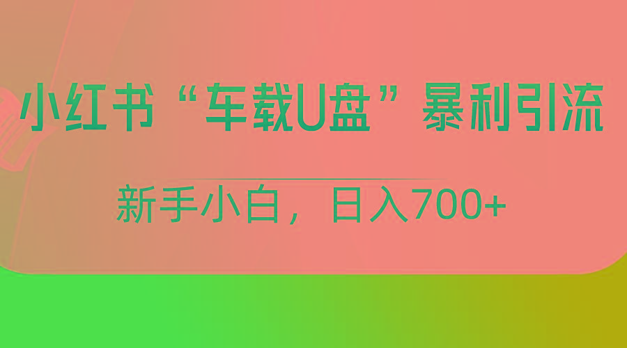 小红书“车载U盘”项目，暴利引流，新手小白轻松日入700+-小哈资源