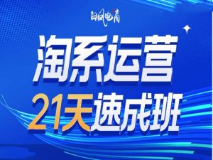 淘系运营21天速成班35期，年前最后一波和2025方向-小哈资源