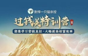 剽悍一只猫-过钱关特训营，学习营销真经 大幅度提高创富效率-小哈资源