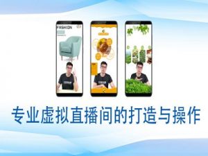 个人虚拟直播间的搭建与操作，专业虚拟直播间的打造与操作-小哈资源