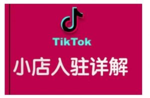 TikTok跨境小店运营全攻略，帮助你独立运营TK跨境小店的能力，实现销量增长-小哈资源
