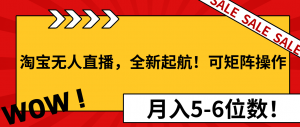 淘宝无人直播，全新起航！可矩阵操作，月入5-6位数！-小哈资源