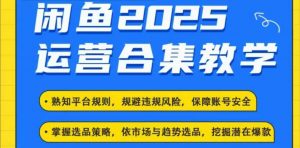 2025闲鱼电商运营全集，2025最新咸鱼玩法-小哈资源