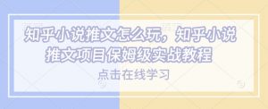 知乎小说推文怎么玩，知乎小说推文项目保姆级实战教程-小哈资源