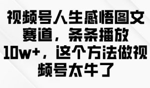 视频号人生感悟图文赛道,条条播放10w+,这个方法做视频号太牛了-小哈资源