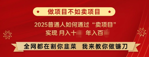 必看，做项目不如卖项目，2025普通人如何通过“卖项目”实现月入十个，年入百个-小哈资源