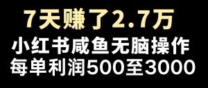 全网首发，7天赚了2.6万，2025利润超级高！-小哈资源