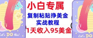 复制粘贴挣美金，0门槛，1天收入95美刀，3分钟学会，内部教程(首次公开)-小哈资源