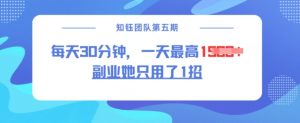副业她只用了1招，每天30分钟，无脑二创，一天最高1.5k-小哈资源