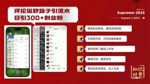 评论区野路子截流创业粉新方法，日被动加300+创业粉，精准引流被动添加...-小哈资源