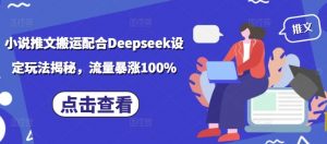 小说推文搬运配合Deepseek设定玩法揭秘，流量暴涨100%-小哈资源