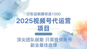 2025视频号代运营 日躺赚1000＋ 只需提供账号-小哈资源