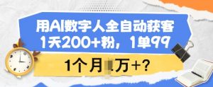 用AI数字人全自动获客，1天200+粉，1单99，1个月1个W+?-小哈资源